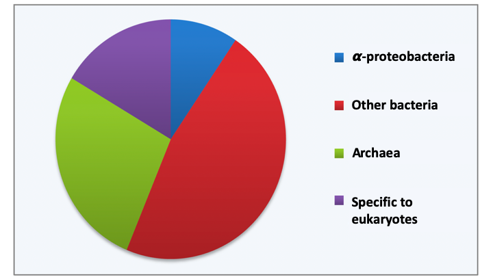 Figure 017.euk_genes