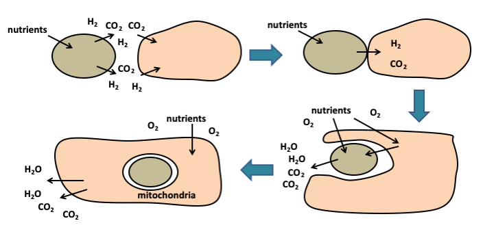 Figure 022.hydrogen-hypothesis