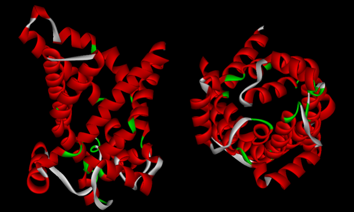 Figure 026.atp-adp