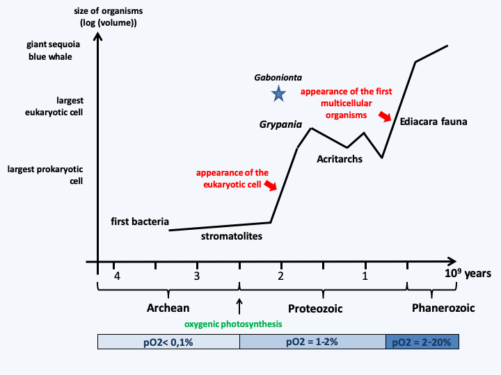 Figure 053.timeline