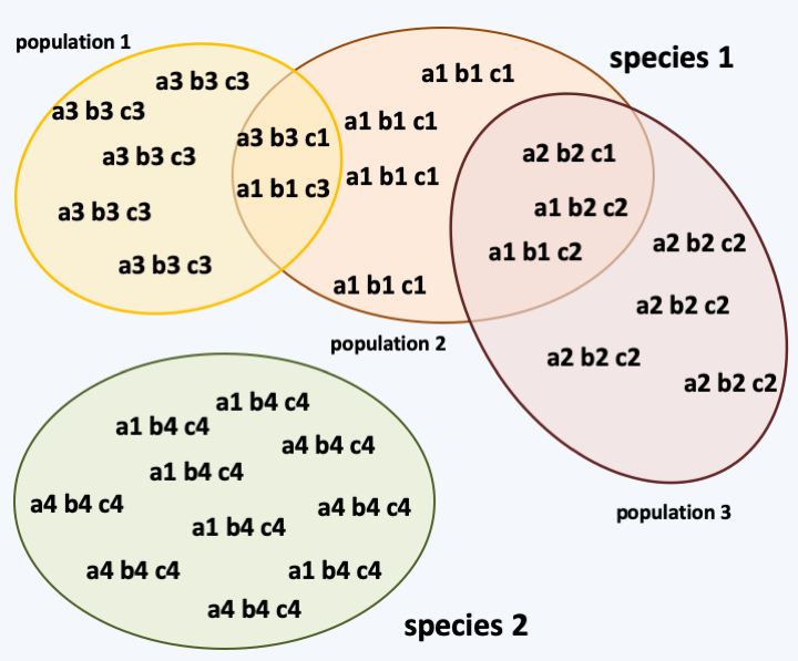 Figure 066.haplotypes