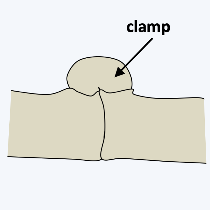 Figure 165.clamp