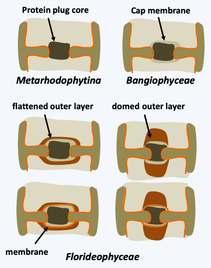 Figure 223.structures