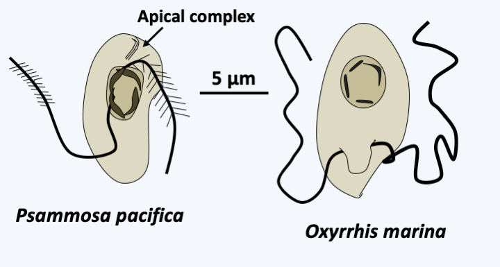 Figure 326.distant-dinos