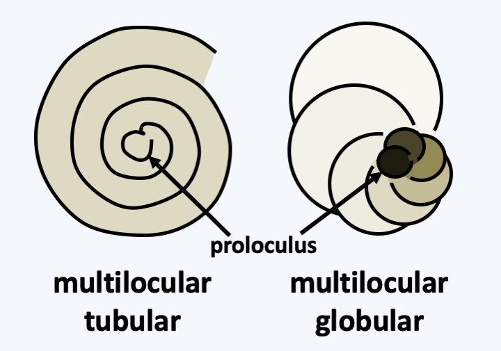 Figure 346.test