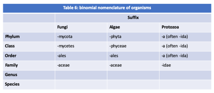 Table 6